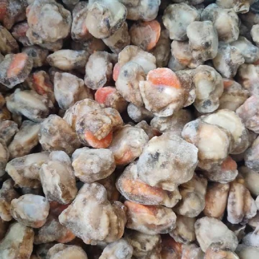 北海扇贝肉海弯扇贝无沙爆炒捞汁海鲜食材