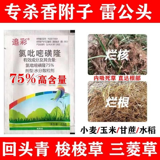郑州香附子克星三棱草雷公头专杀除草剂烂根氯吡嘧磺隆