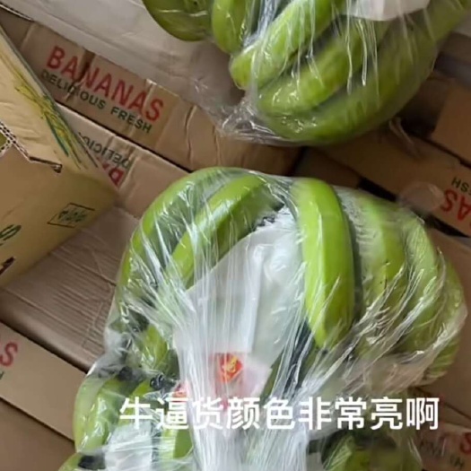 邯郸广东蕉，果面干净，纯三把，有肥度