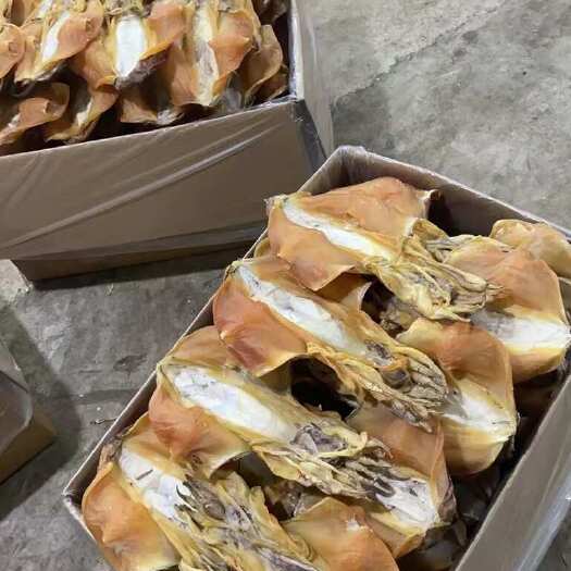 北海平串墨鱼干 穿竹墨 吊晒墨鱼干全淡干墨鱼干本港墨鱼干
