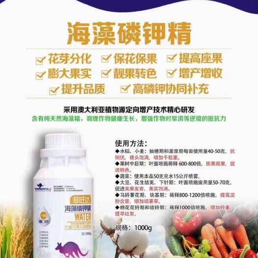 菲旺达 海藻磷钾精 替代磷酸二氢钾使用
磷酸二氢钾效果10倍