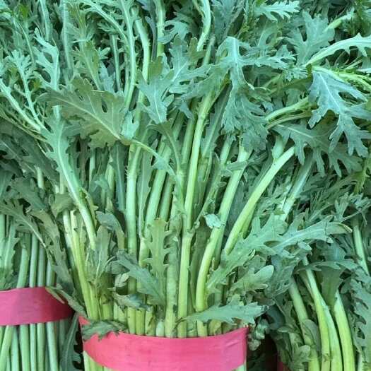 邯郸茼蒿