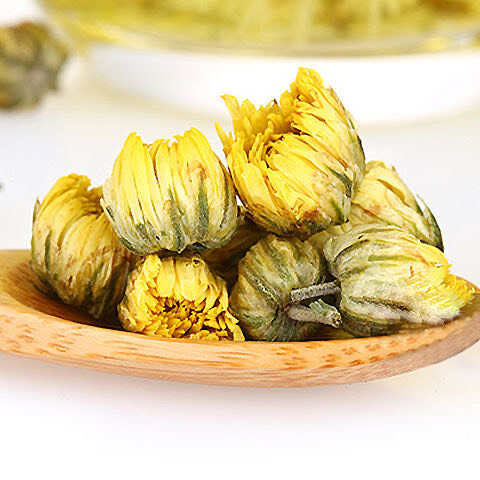 胎菊菊花头采大花金黄色泽