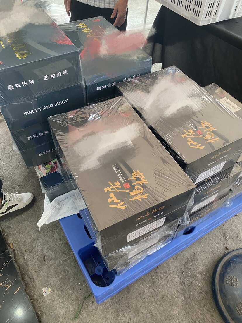 仙居东魁杨梅礼盒装，工厂梅