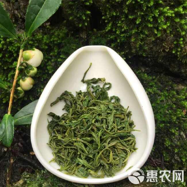 毛尖茶叶 2024新茶茶叶信阳绿茶春茶散装明前手工嫩芽浓香型