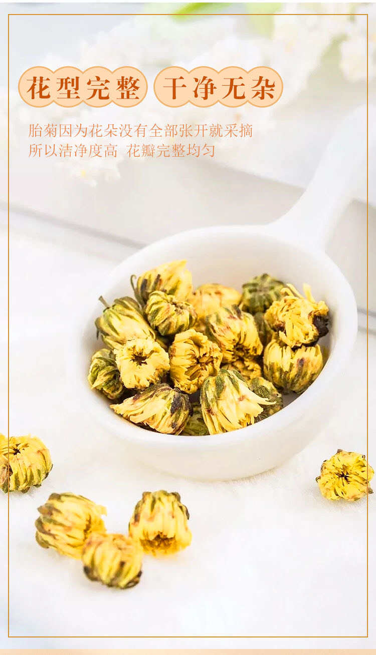 胎菊菊花头采大花金黄色泽