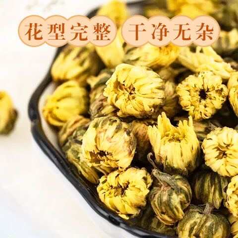 胎菊菊花头采大花金黄色泽