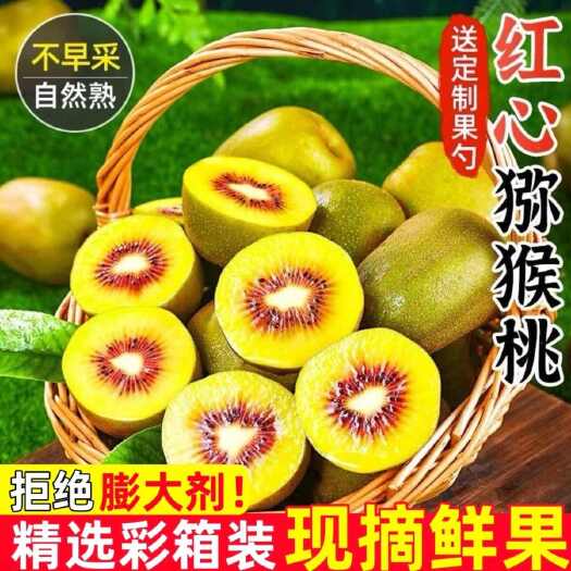 蒲江县四川蒲江源头红心猕猴桃产地直发  电商 市场 平台直供