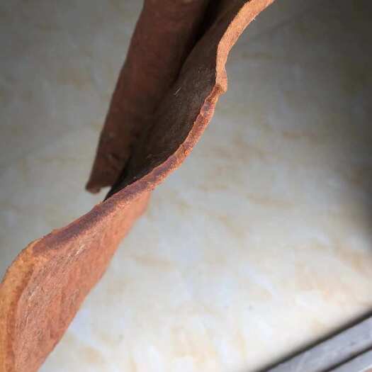 玉林无硫紫油桂，部分地区包邮