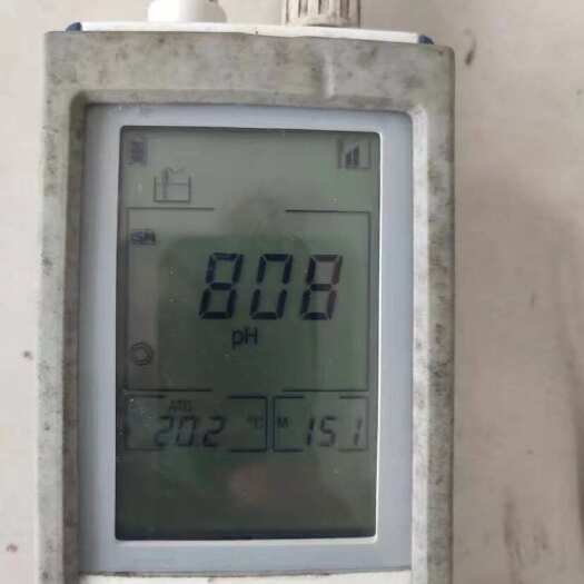 抚州优质大头鱼