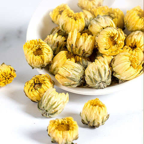 胎菊菊花头采大花金黄色泽