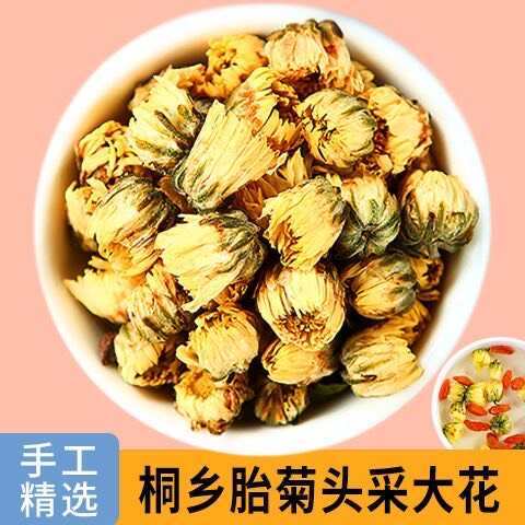 胎菊菊花头采大花金黄色泽