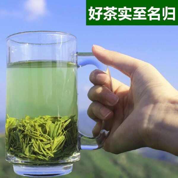 毛尖茶叶 2024新茶茶叶信阳绿茶春茶散装明前手工嫩芽浓香型