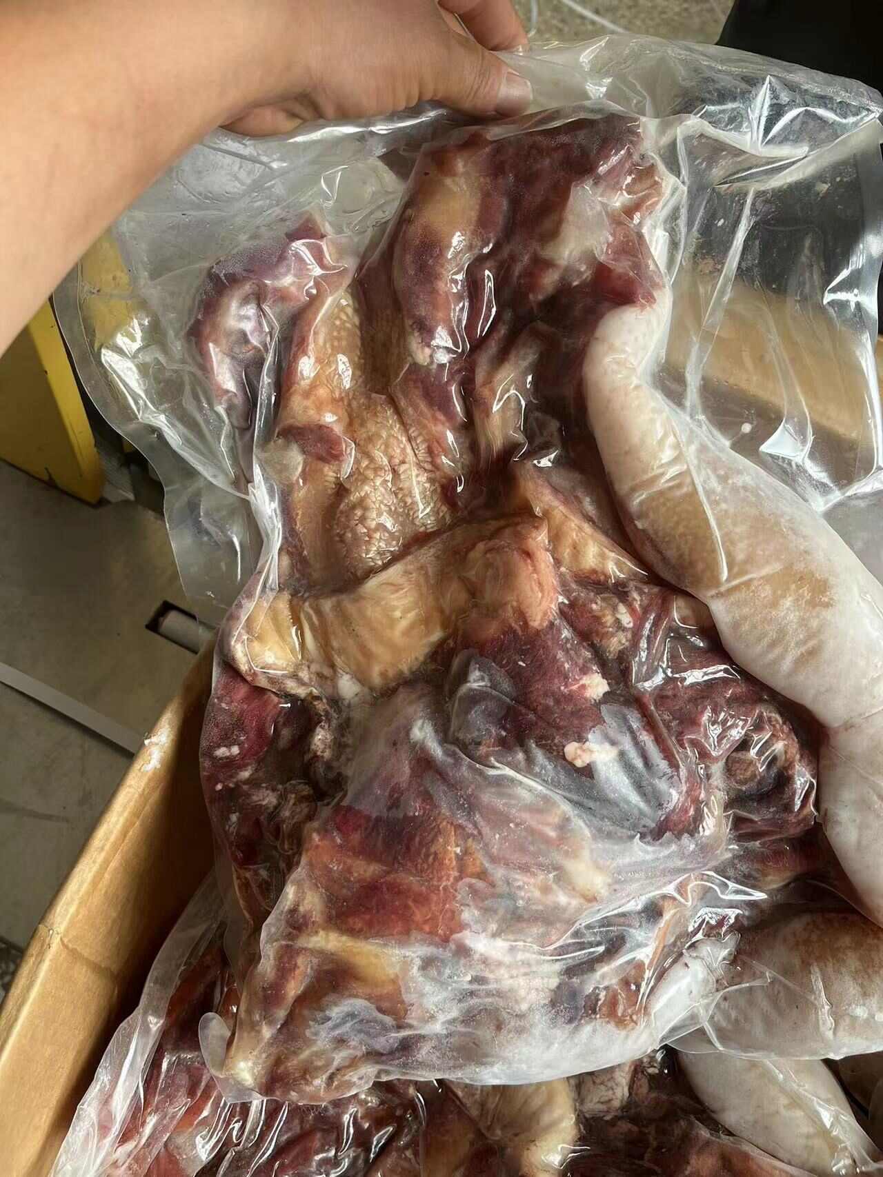 牛头肉 全熟牛头肉 牛肉 精品牛头肉 牛脸肉