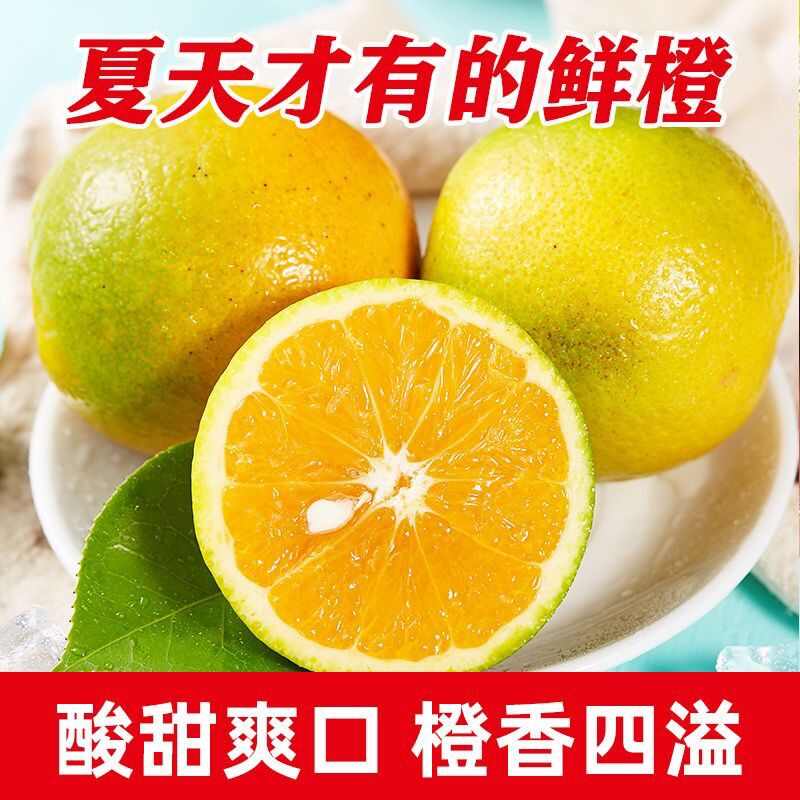 湖北秭归夏橙当季橙子多汁批发一件代发