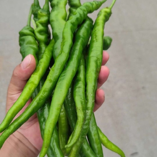重庆市量大且品质好