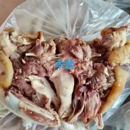 商河县清真全套熟羊杂  羊汤专用  批发
