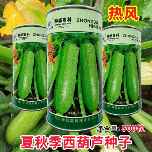 宿迁种都高科耐热型西葫芦种子 戴安娜耐热高抗病绿皮油亮西葫芦种子