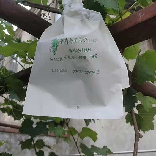 青岛葡萄专用袋套袋批发防虫防鸟水果套袋防水防雨袋子套果袋纸袋果实