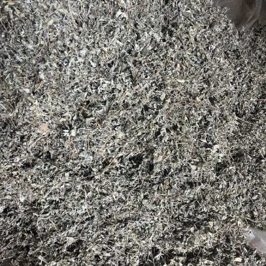 贺州全叶藤茶，莓茶