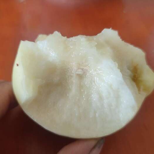 桐柏县桃