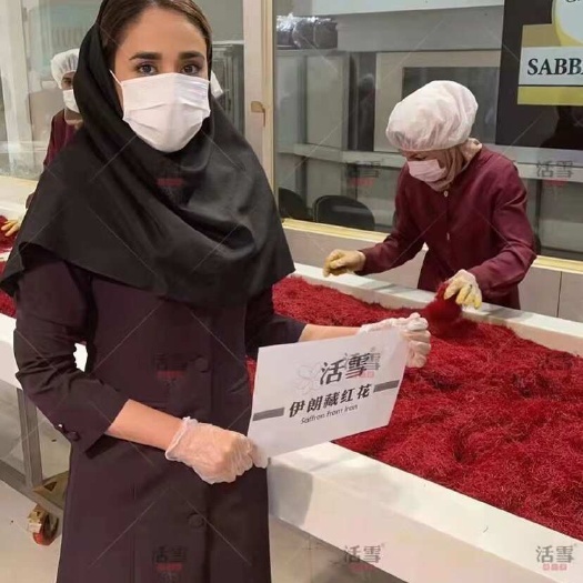 如皋市藏红花