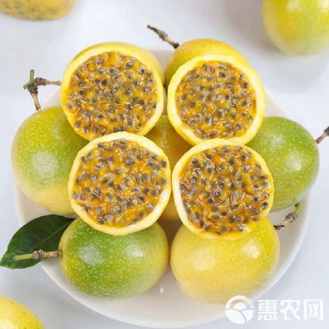 海南钦蜜9号百香果常年有货