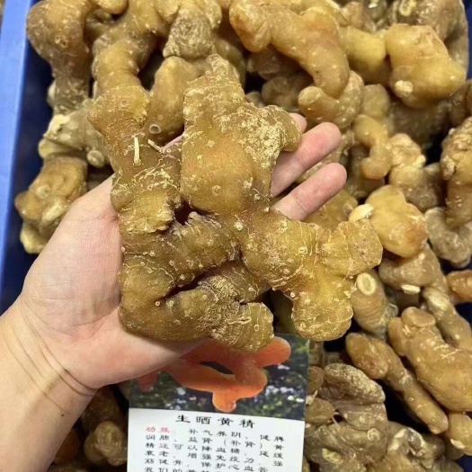 广州黄精晒干大个