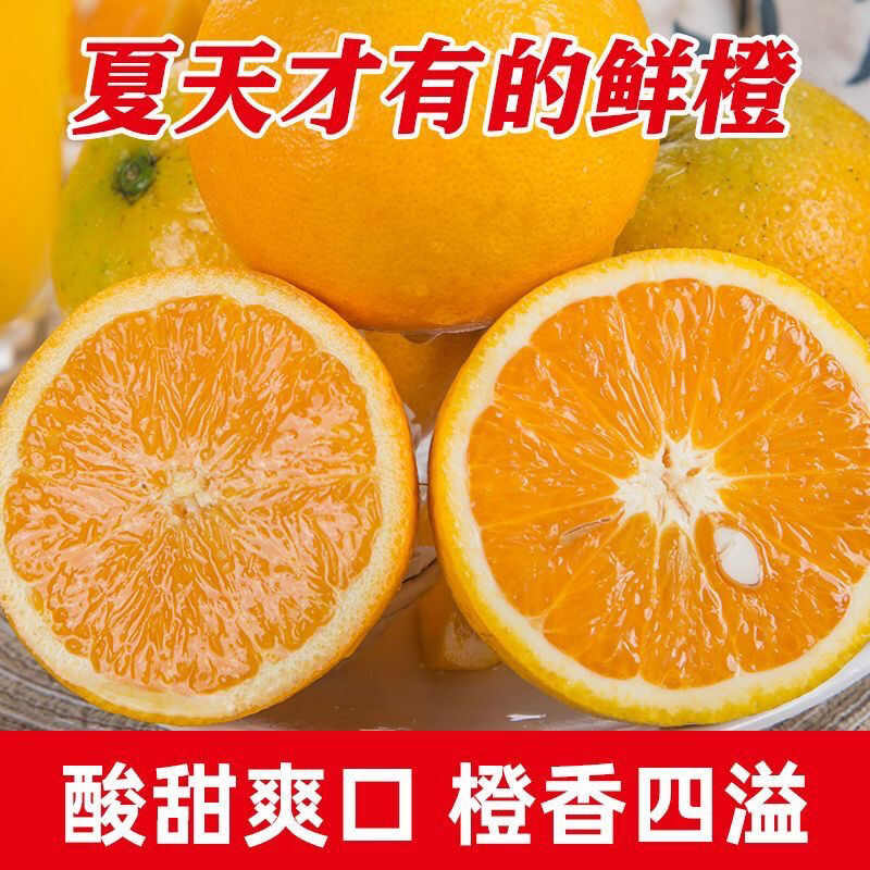 湖北秭归夏橙当季橙子多汁批发一件代发