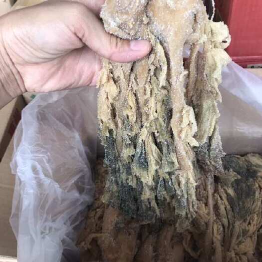 整箱惠州梅菜干广东梅干菜咸菜梅菜扣肉腌菜农家梅菜批发商用