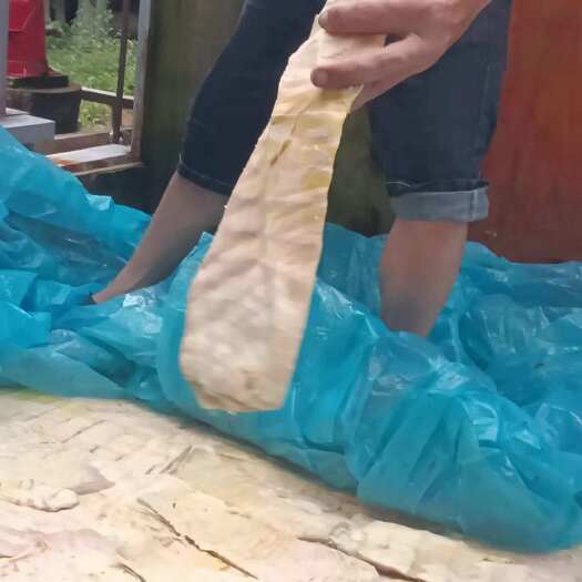 建宁县春笋