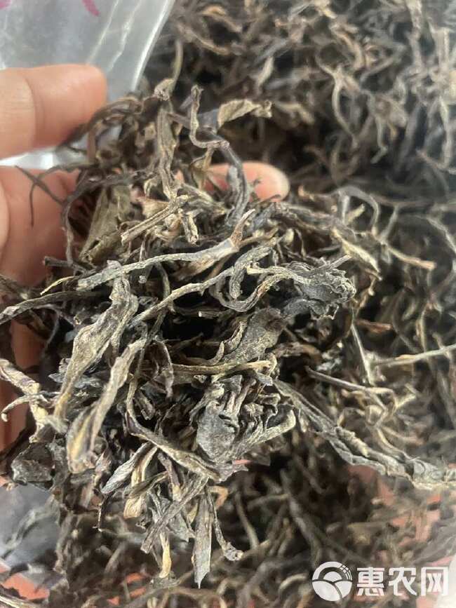 普洱茶 绿茶 古树茶 冲泡好茶 夏天口气清新茶 经典陈年老茶