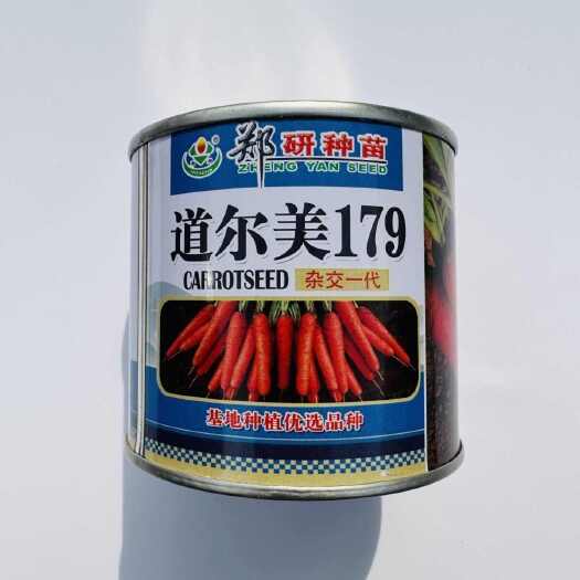 南京郑研种苗道尔美179胡萝卜种子杂交一代品种皮肉芯三红胡萝卜种
