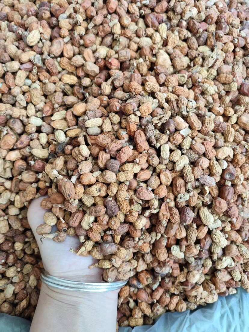 红蔻红扣红寇无硫红豆蔻增香回味去异味卤料调味料香辛料火锅配料
