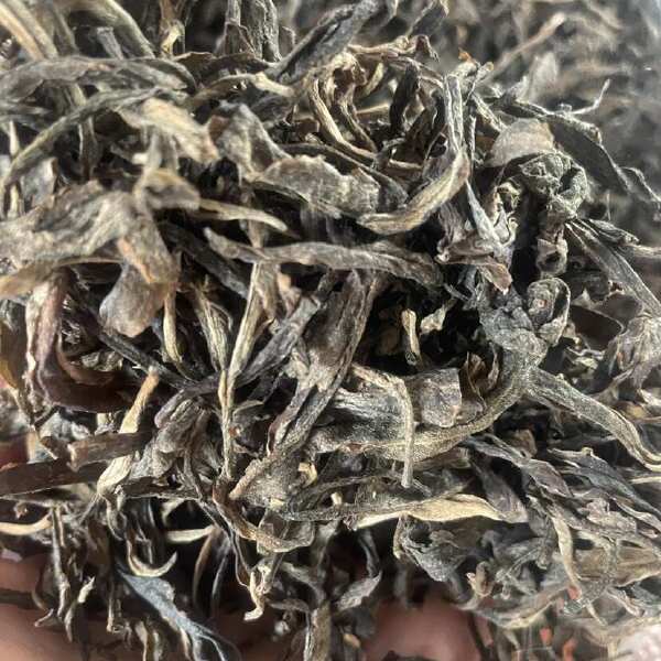 普洱茶 绿茶 古树茶 冲泡好茶 夏天口气清新茶 经典陈年老茶