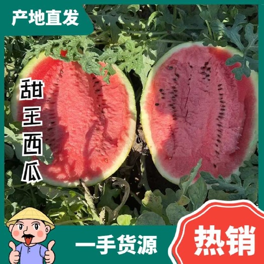 新民市沈阳新民产区 西瓜甜王有籽薄皮西瓜大量上市