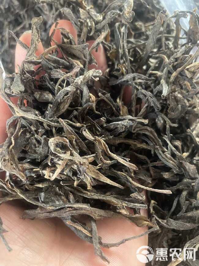 普洱茶 绿茶 古树茶 冲泡好茶 夏天口气清新茶 经典陈年老茶