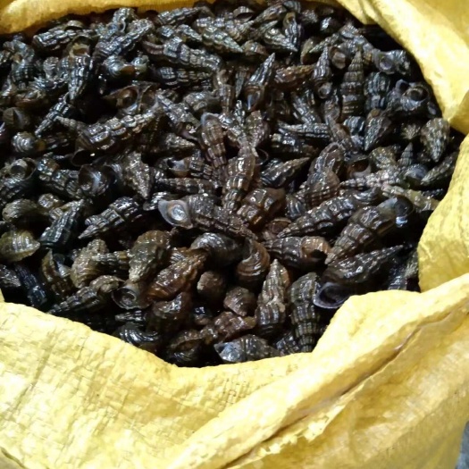 玉林扭螺规格1.2起