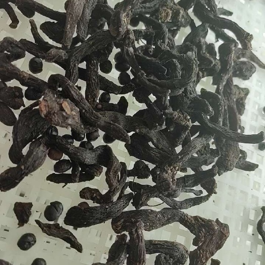 日照鸡头黄精