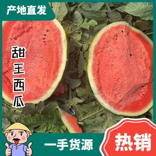 辽宁新民西瓜甜王西瓜现摘薄皮有籽西瓜量大价优