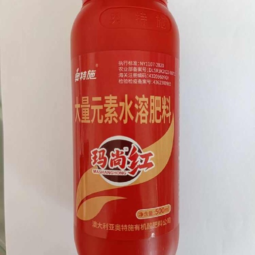 大荔县玛尚红，冬枣褪青发白，增糖着色，快速亮果着色，不软果