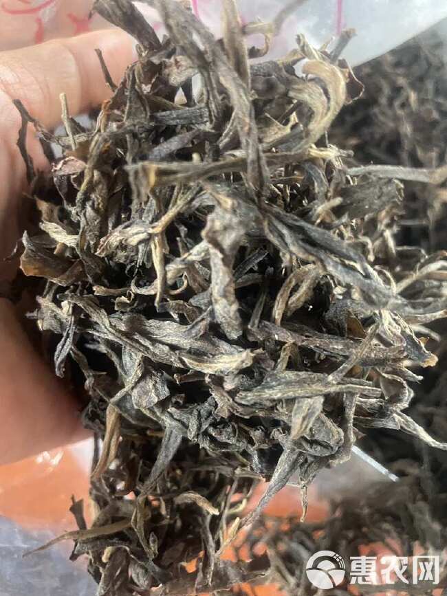 普洱茶 绿茶 古树茶 冲泡好茶 夏天口气清新茶 经典陈年老茶