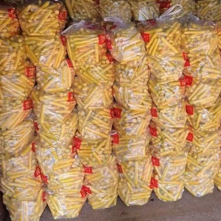 奥盛黄参胡萝卜种子黄胡萝卜种籽水果型齐头蔬菜种籽生吃脆甜圆柱