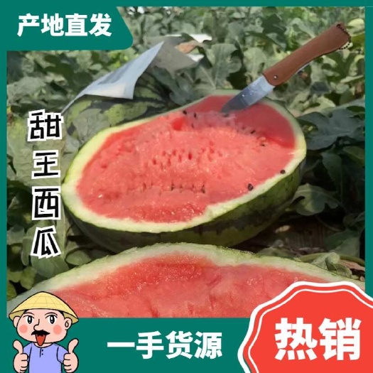 辽宁西瓜甜王西瓜薄皮西瓜价格美丽欢迎来电咨询