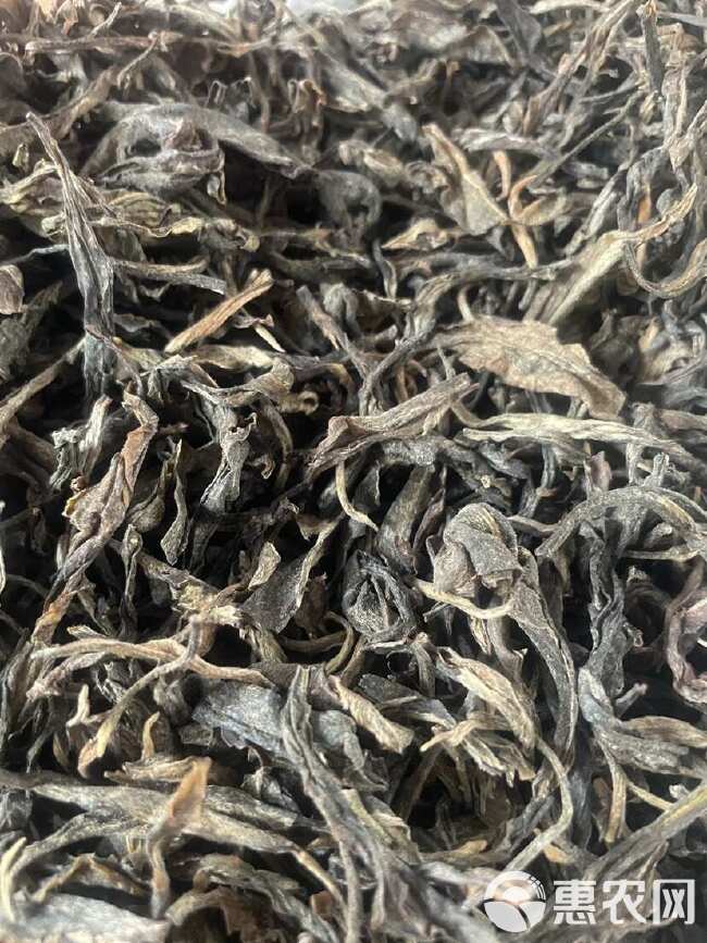 普洱茶 绿茶 古树茶 冲泡好茶 夏天口气清新茶 经典陈年老茶