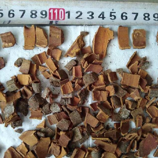 玉林桂皮粒