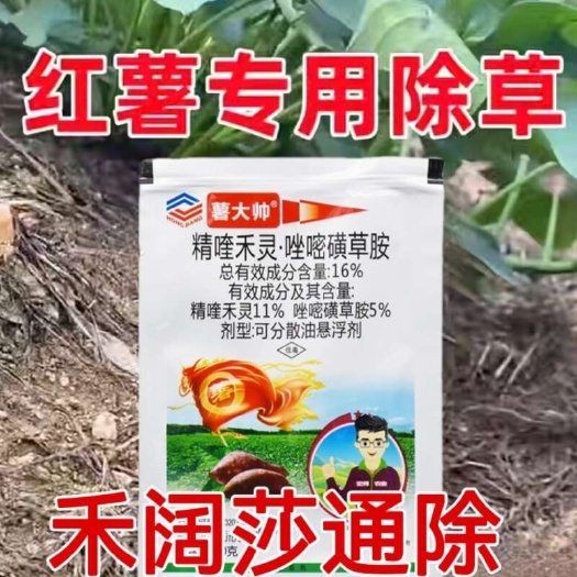 郑州红薯除草剂红薯苗后除草剂红薯专用除草剂唑嘧磺草胺精喹禾灵禾阔
