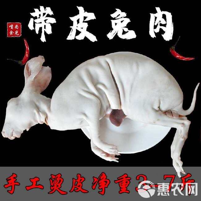 手工烫皮兔