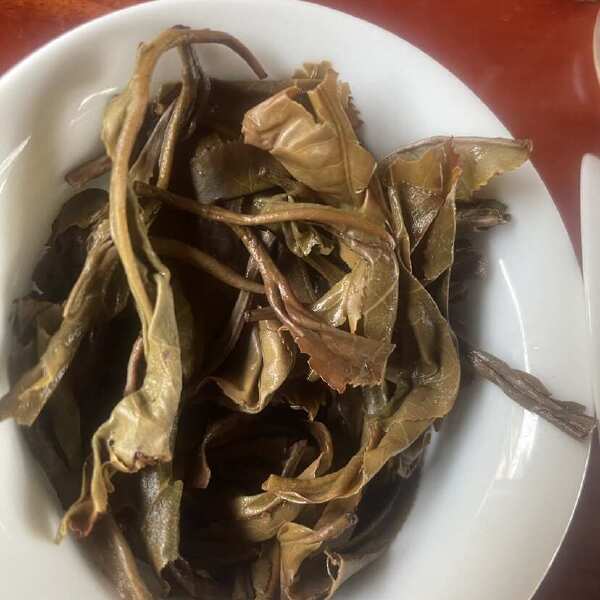 普洱茶 绿茶 古树茶 冲泡好茶 夏天口气清新茶 经典陈年老茶