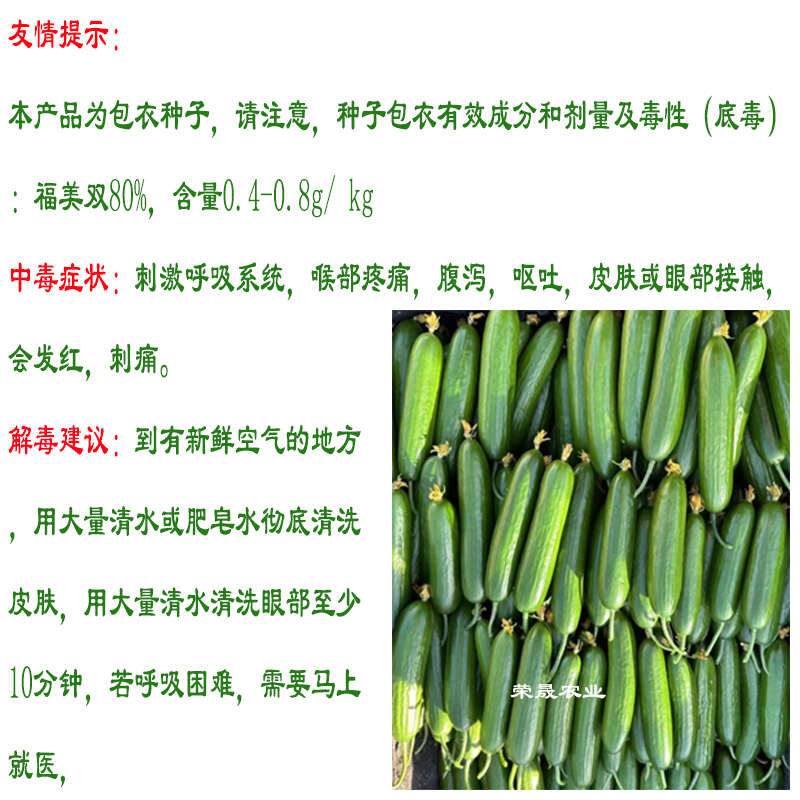 斯托克無刺水果黃瓜種子以色列海澤拉原裝四季口感水果黃瓜籽